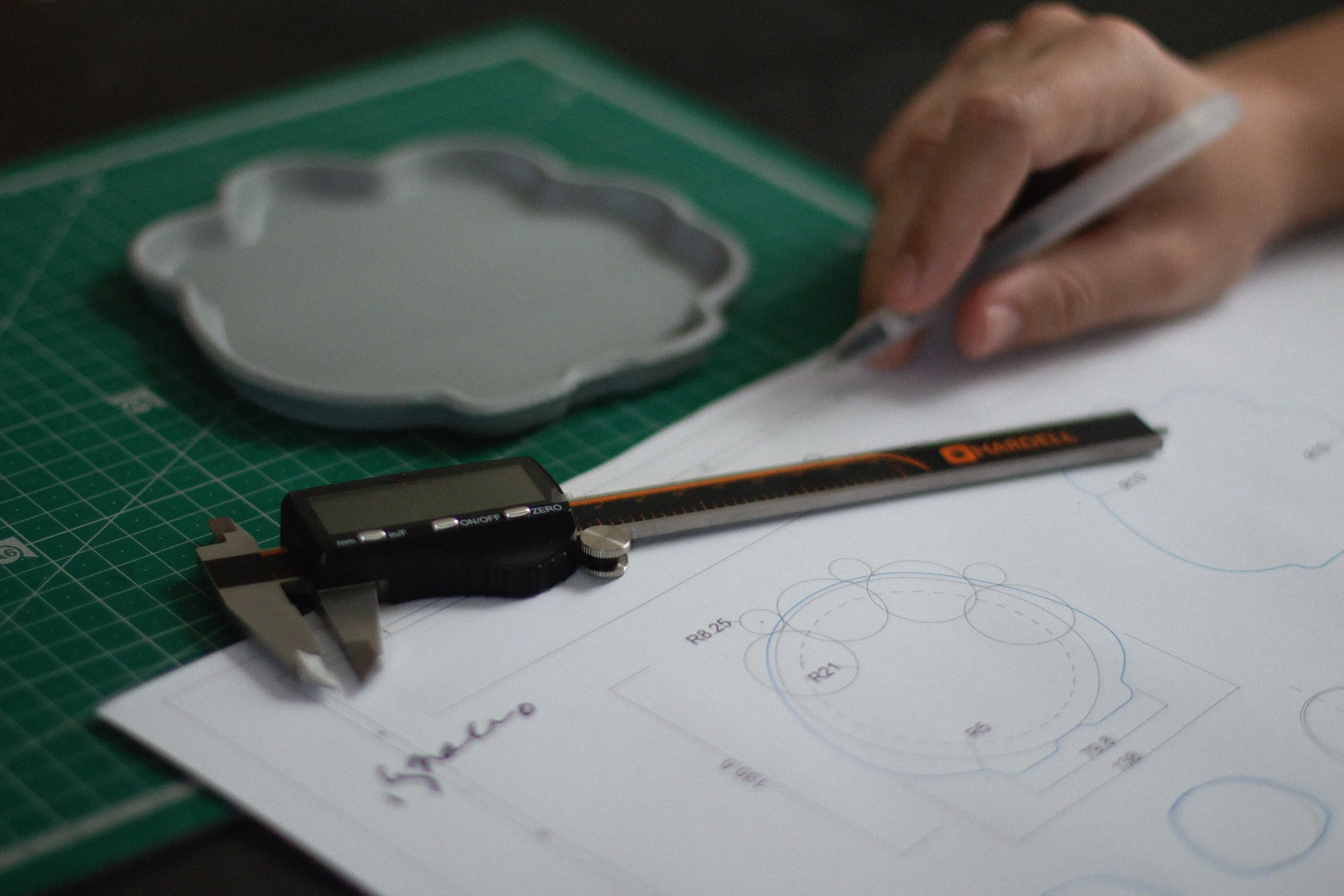 ignaciodeltoro · dino