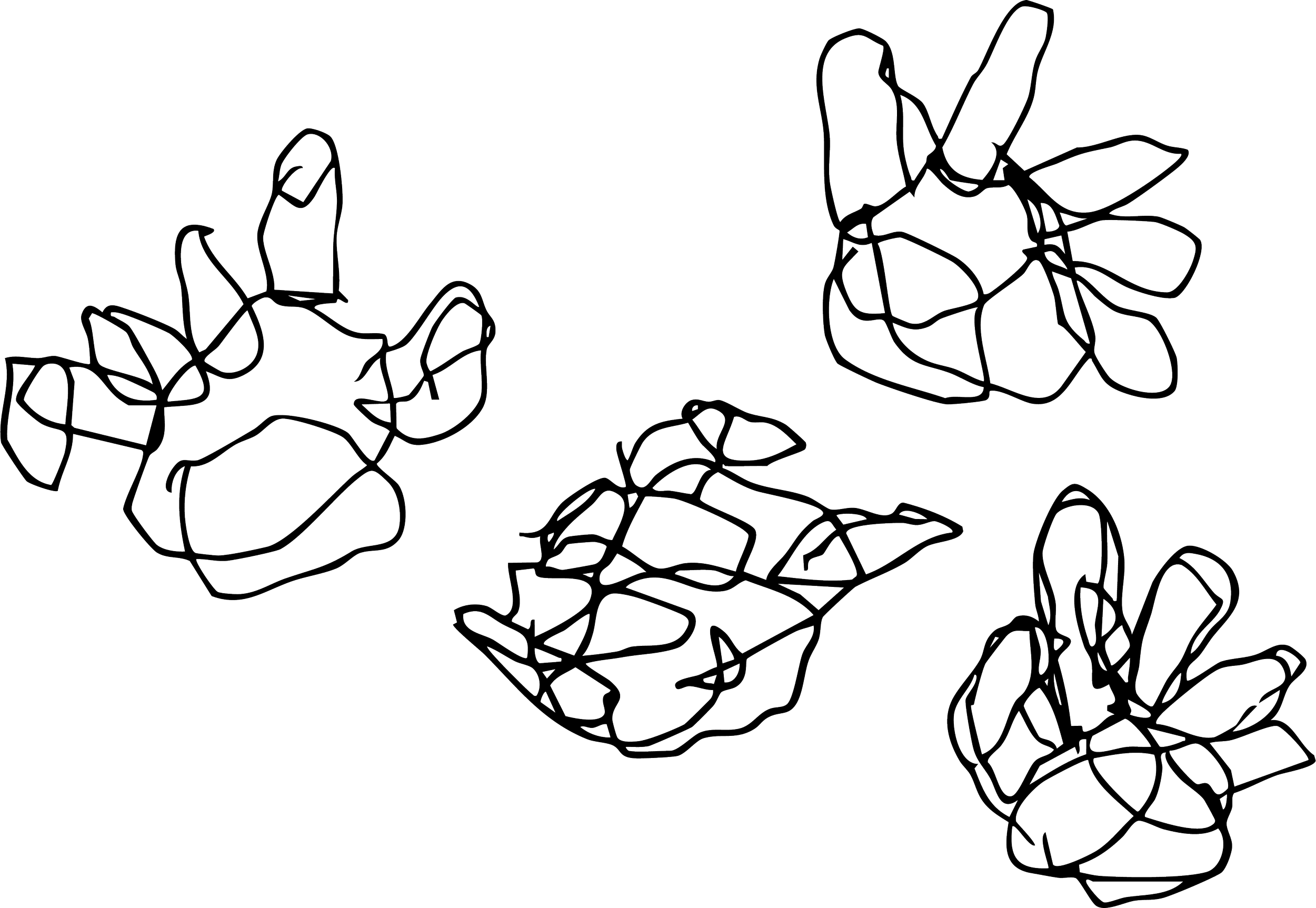 ignaciodeltoro_manitas