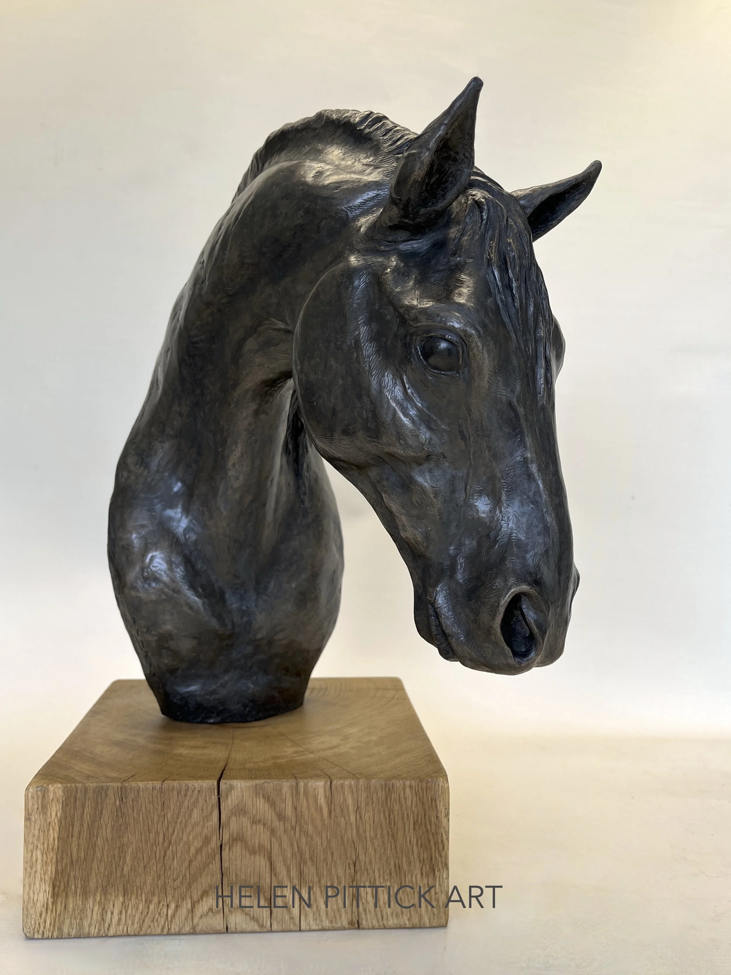 Jesmonite Bronze PRE Horse

