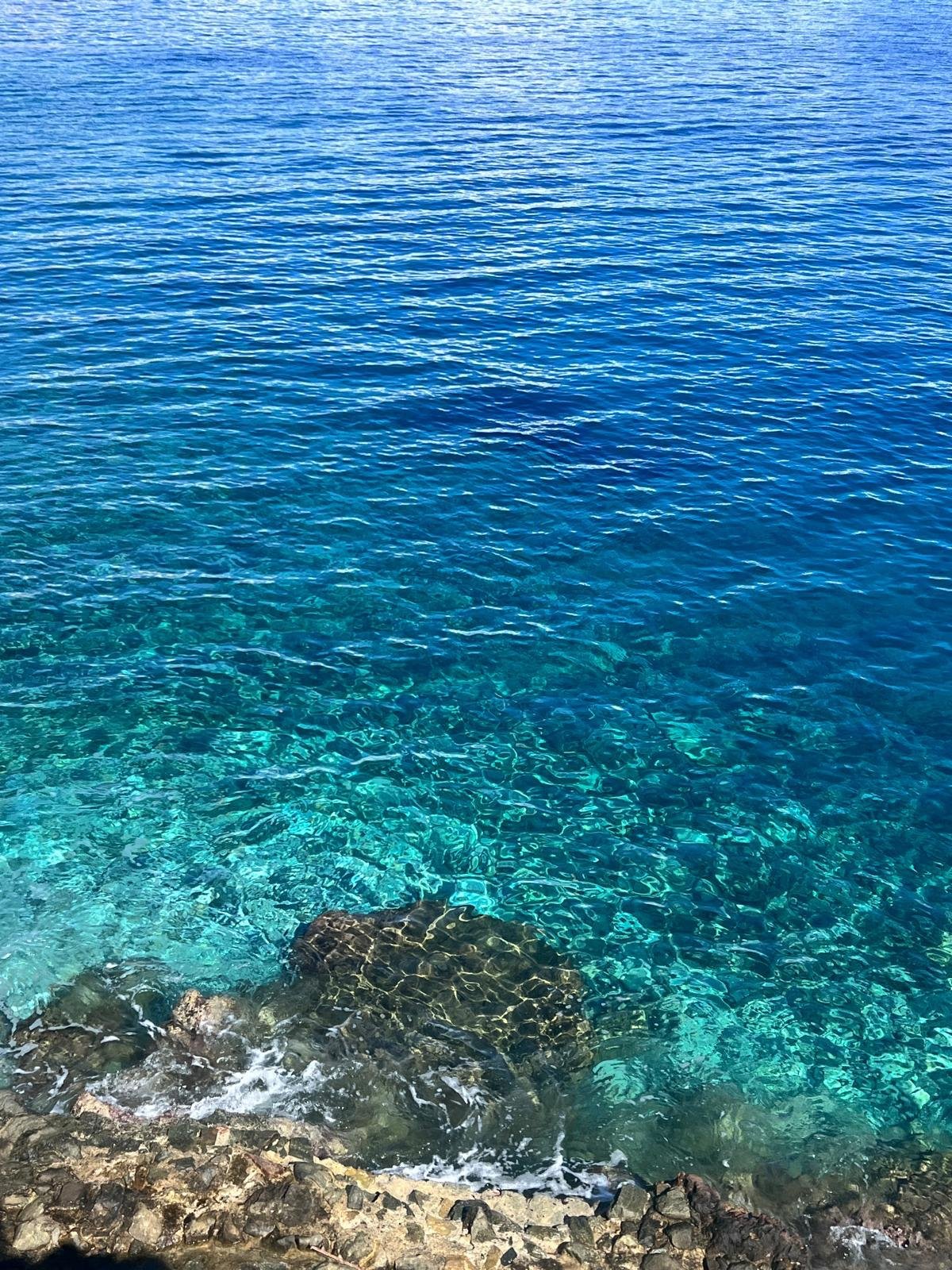 WhatsApp Image 2025-11-10 at 15.11.12(2).jpeg