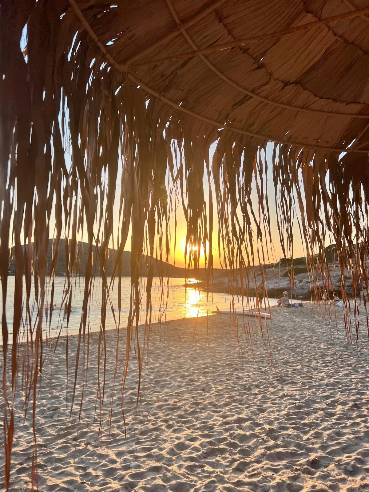 WhatsApp Image 2025-11-10 at 16.05.08.jpeg