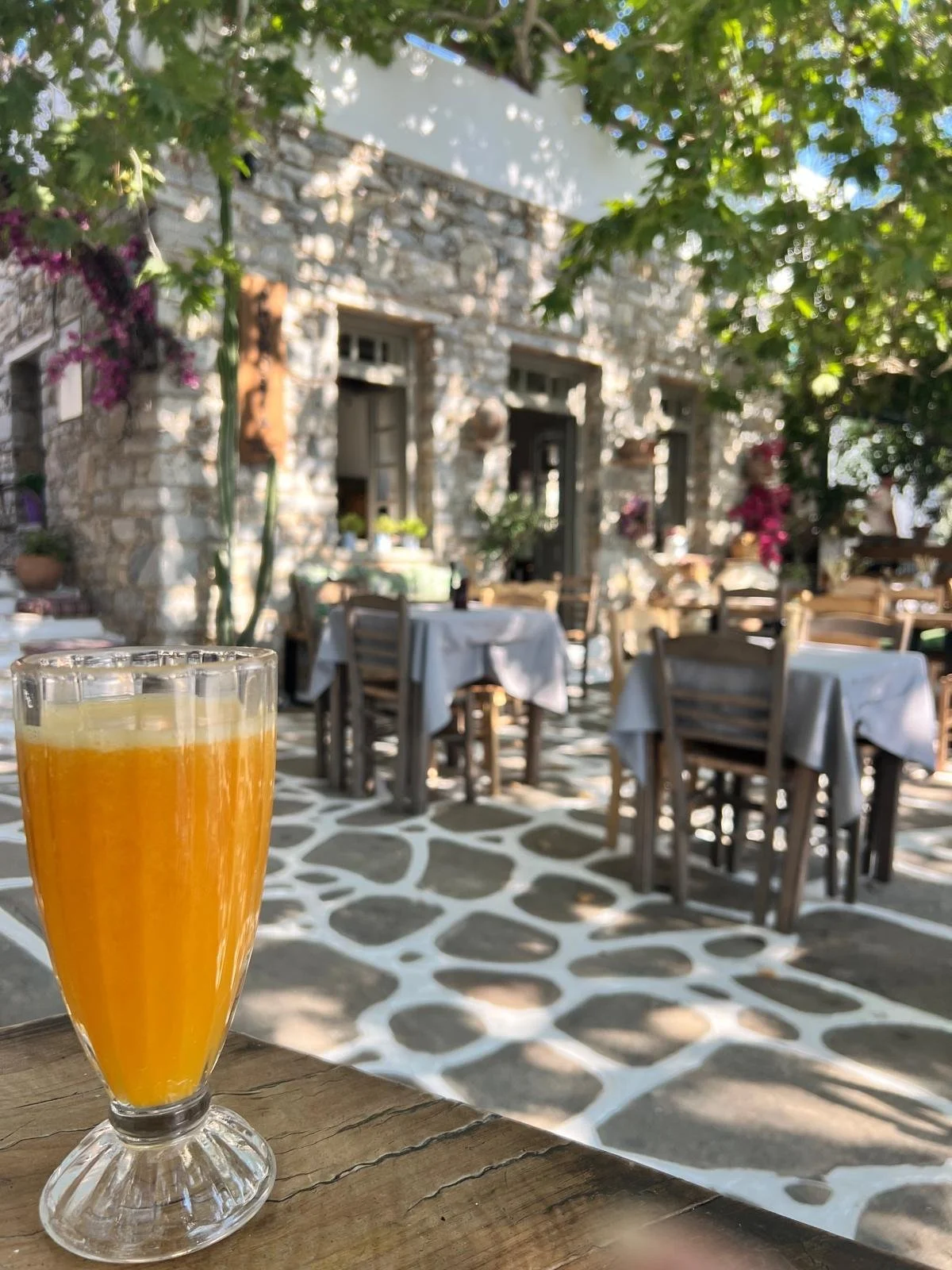 WhatsApp Image 2025-11-10 at 16.24.12(6).jpeg