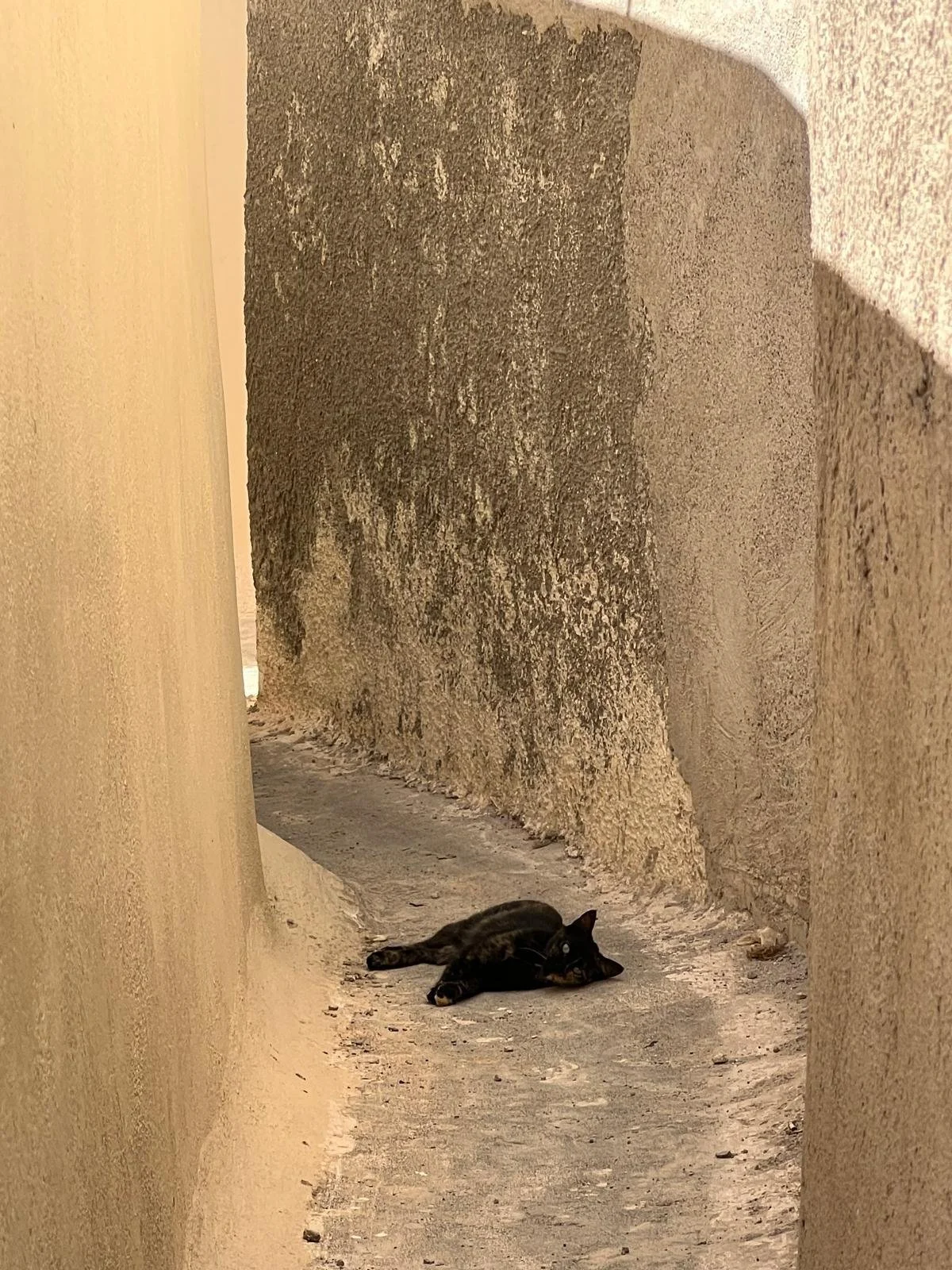 WhatsApp Image 2025-11-10 at 16.07.21(10).jpeg