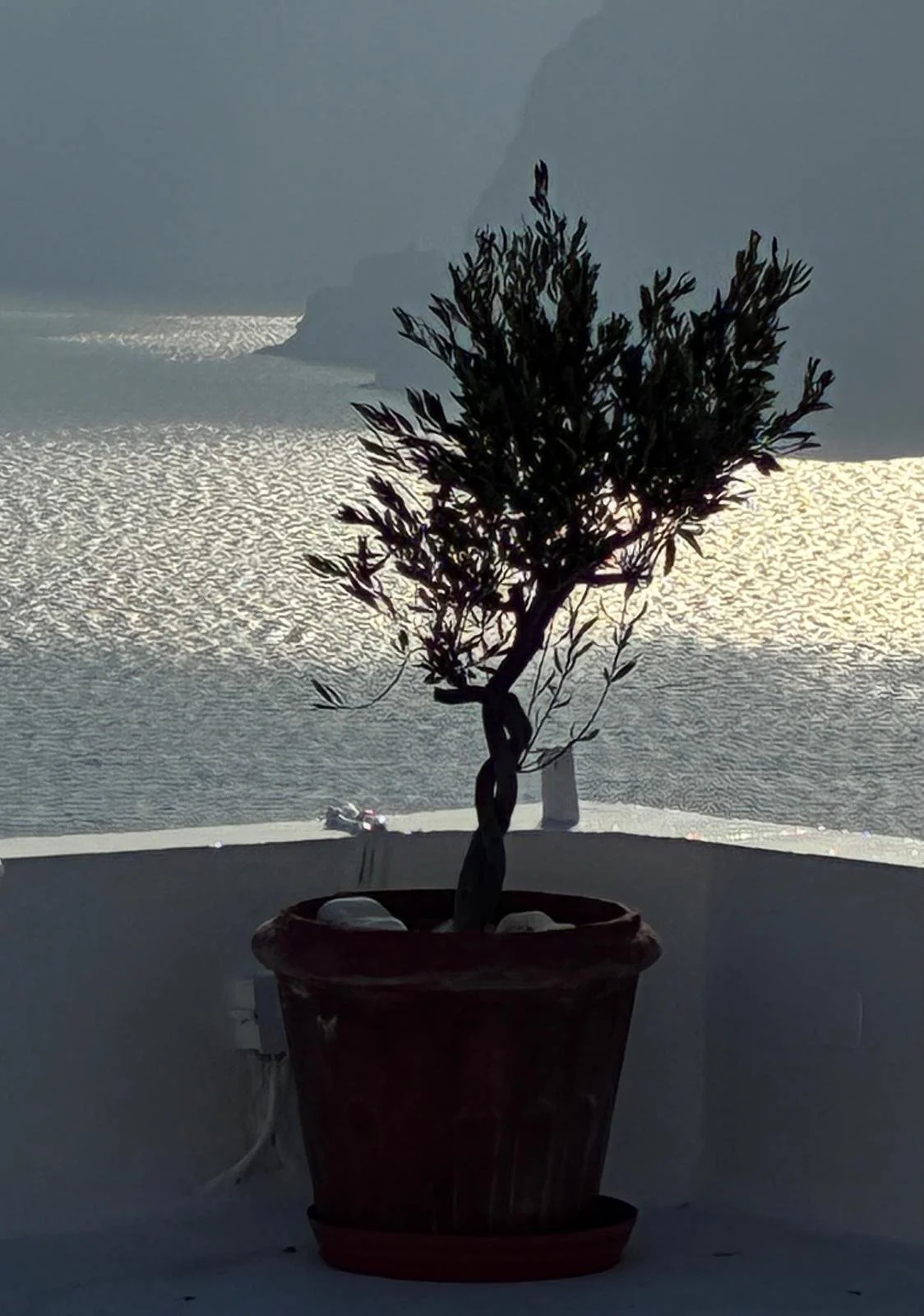 WhatsApp Image 2025-11-21 at 14.44.11(1).jpeg