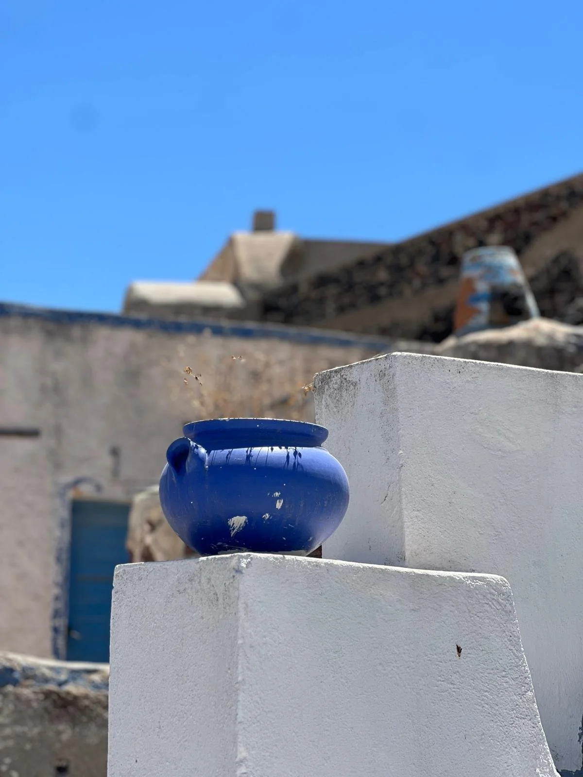 WhatsApp Image 2025-11-10 at 16.34.02(5).jpeg