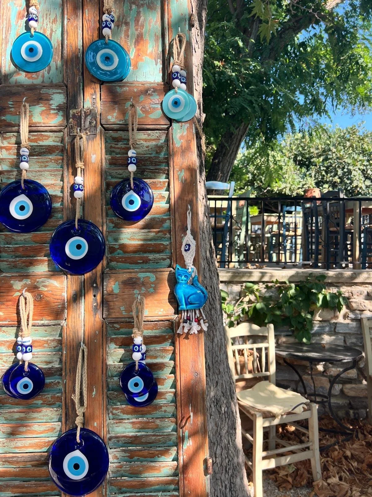 WhatsApp Image 2025-11-10 at 16.20.46.jpeg