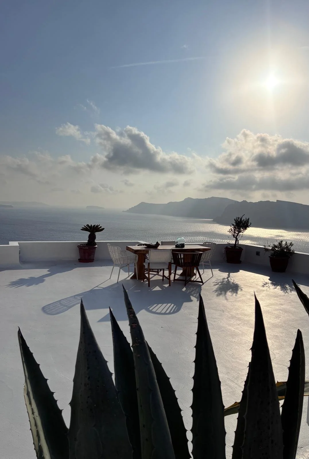 WhatsApp Image 2025-11-21 at 14.44.11.jpeg