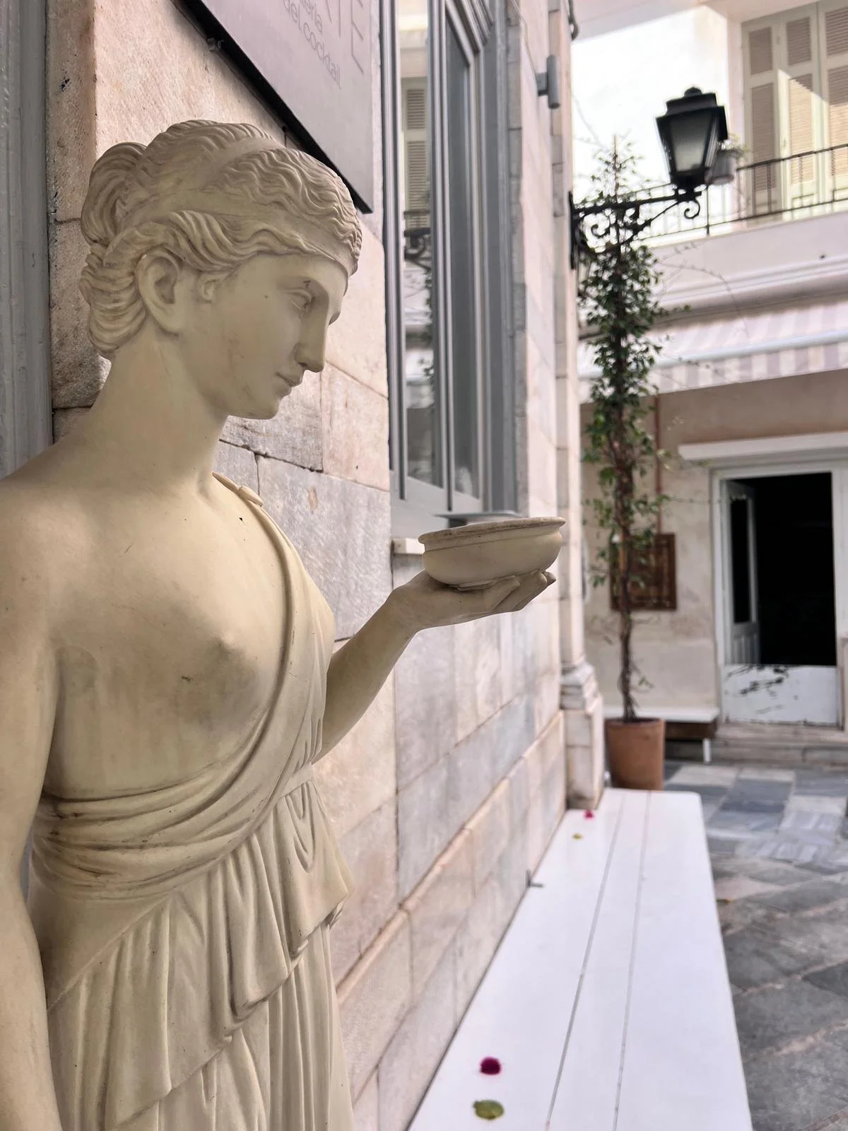 WhatsApp Image 2025-11-10 at 15.45.50(2).jpeg