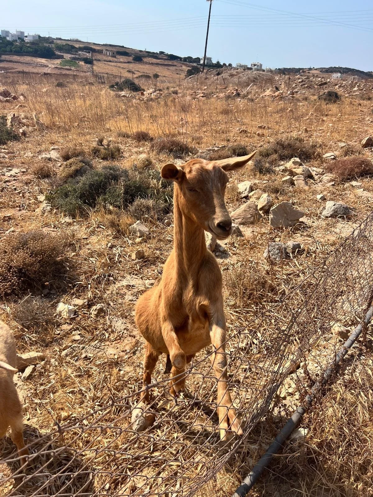 WhatsApp Image 2025-11-10 at 16.14.55(3).jpeg