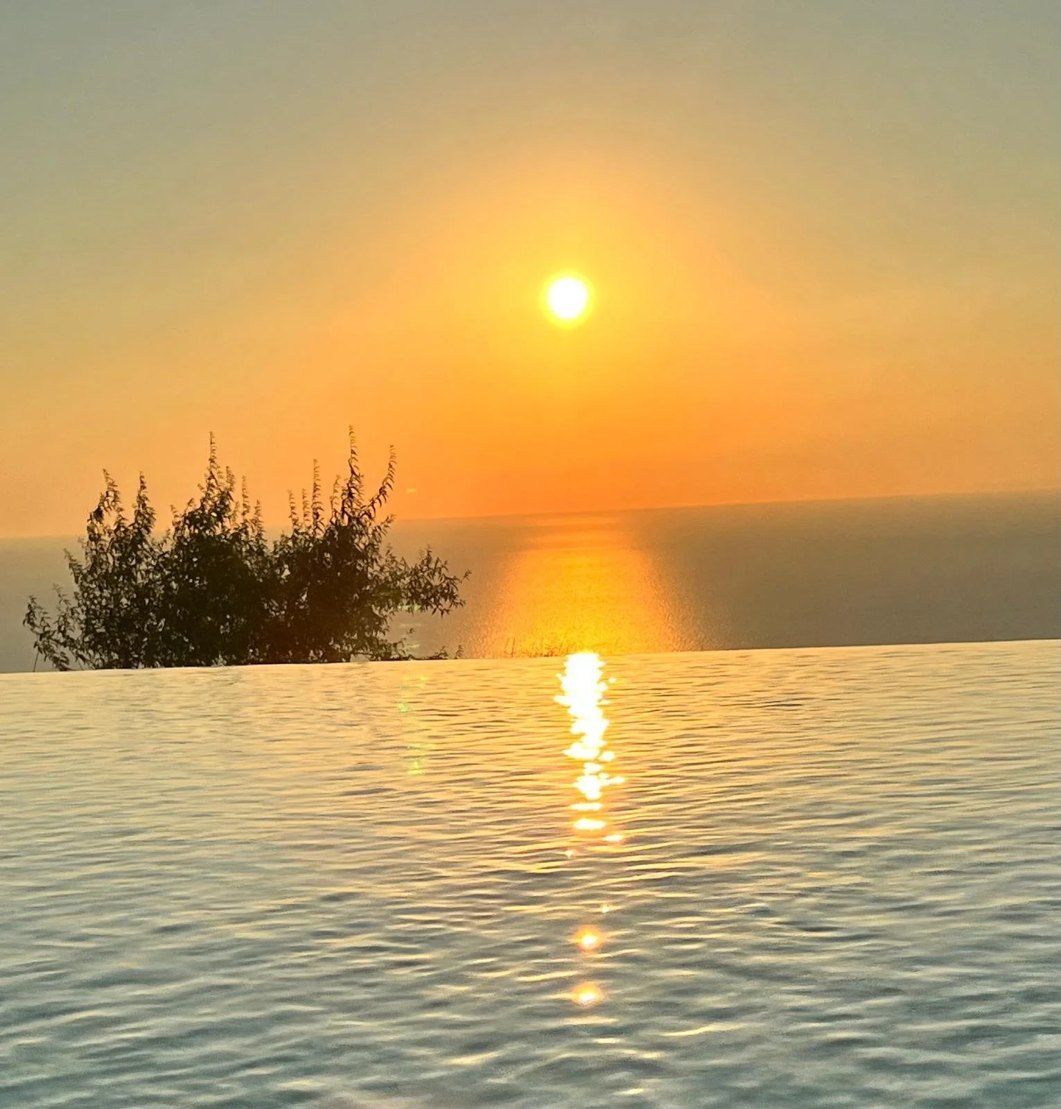 WhatsApp Image 2025-11-10 at 16.05.09(9).jpeg