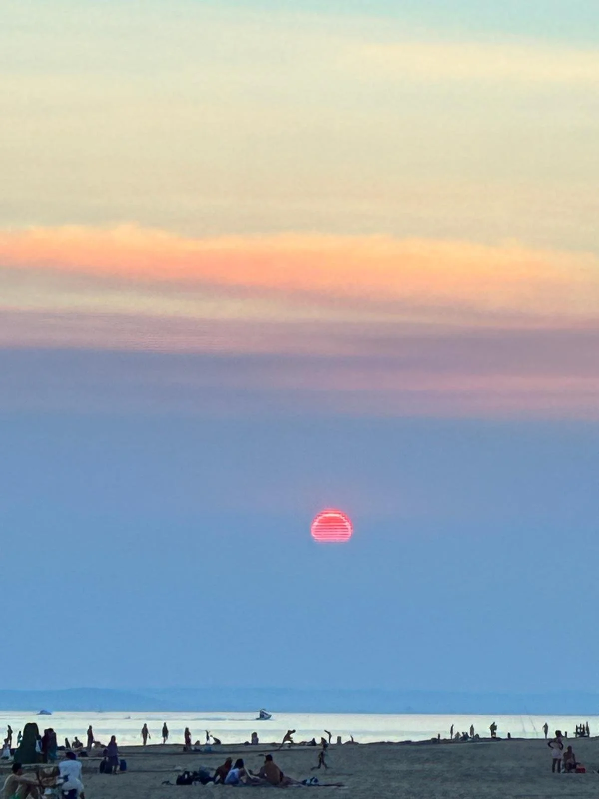 WhatsApp Image 2025-11-10 at 15.55.29(7).jpeg