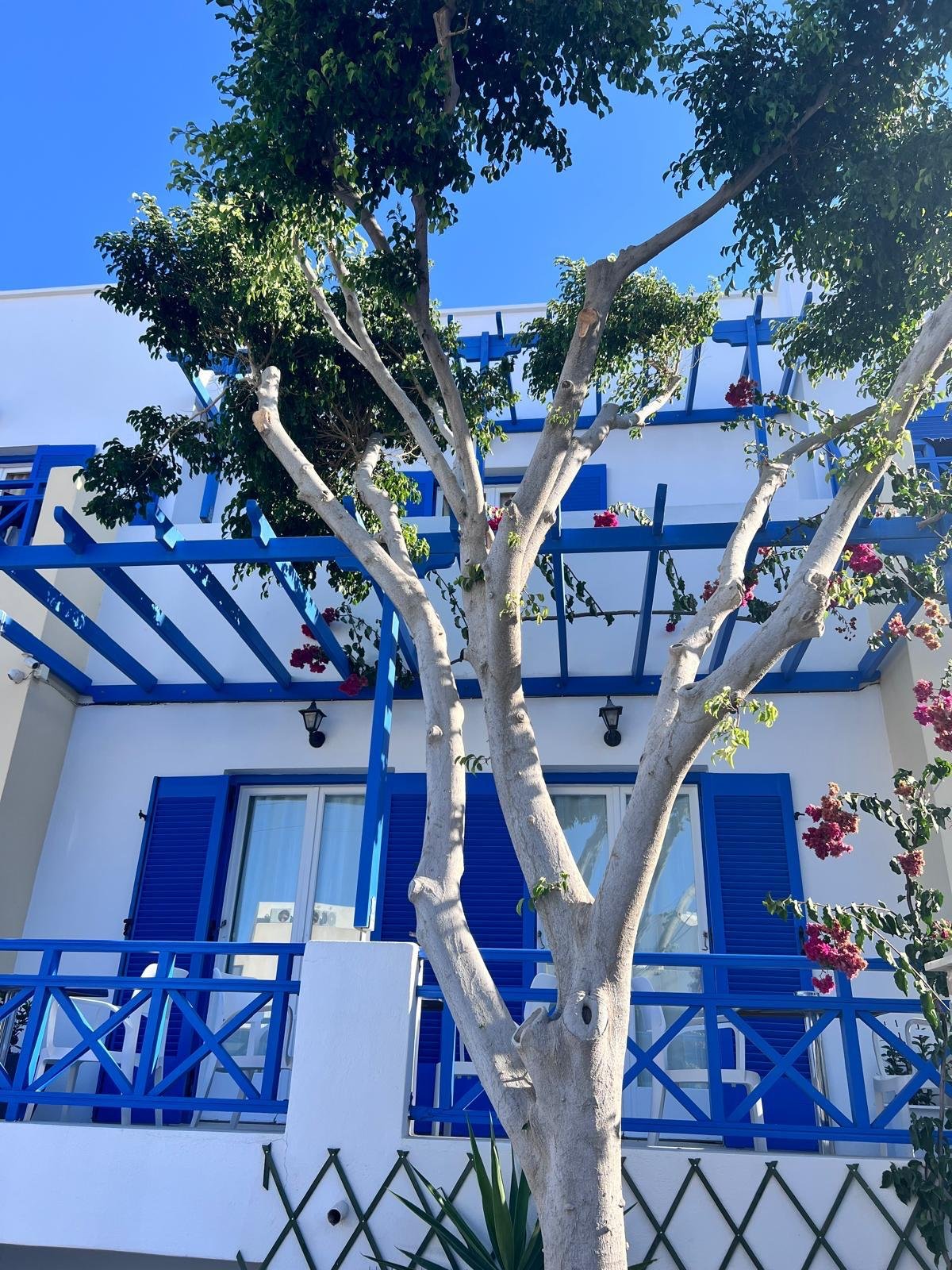 WhatsApp Image 2025-11-10 at 15.56.15(1).jpeg