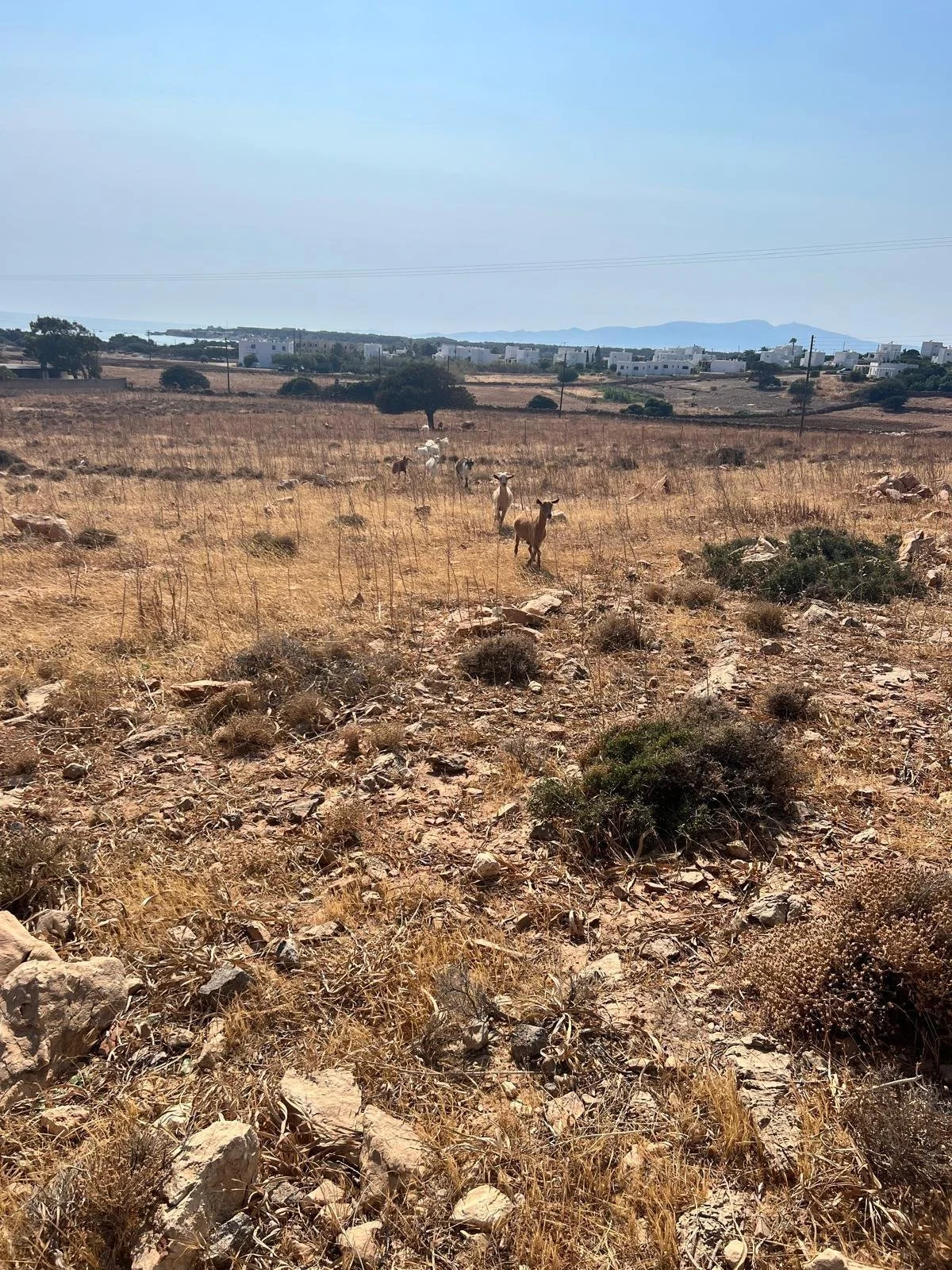 WhatsApp Image 2025-11-10 at 16.14.55(1).jpeg