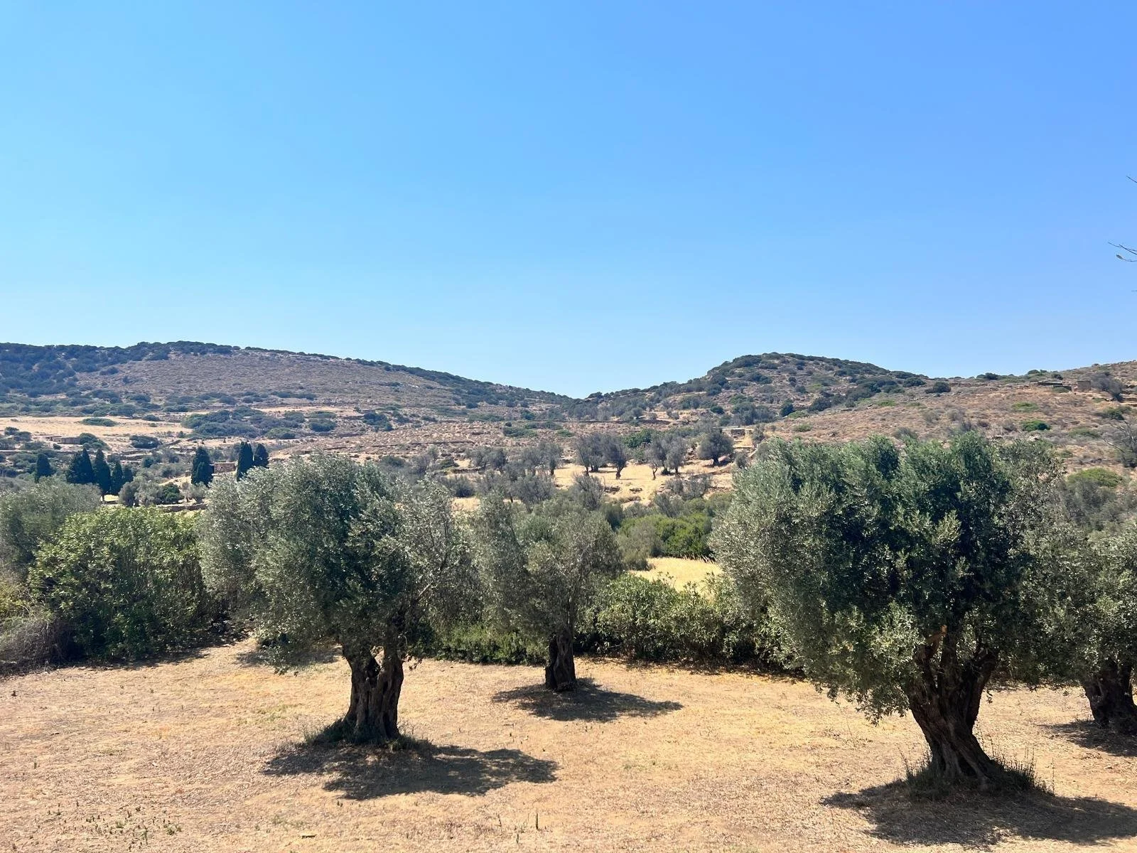 WhatsApp Image 2025-11-10 at 16.26.01(9).jpeg