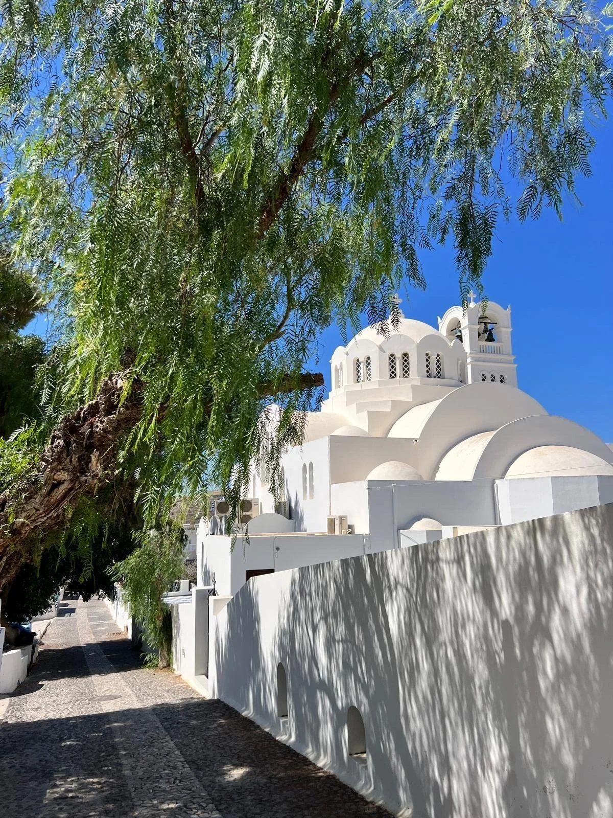 WhatsApp Image 2025-11-10 at 16.07.21(3).jpeg