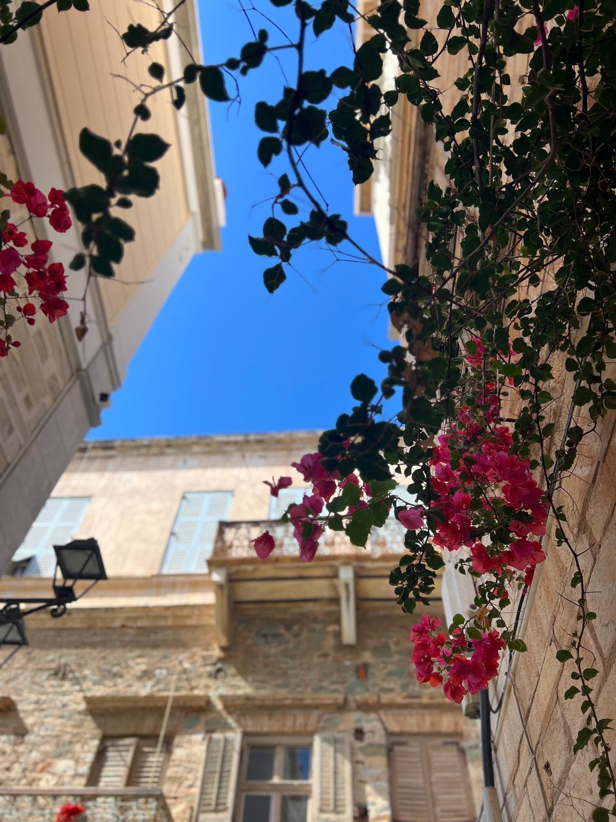 WhatsApp Image 2025-11-10 at 15.15.00(4).jpeg