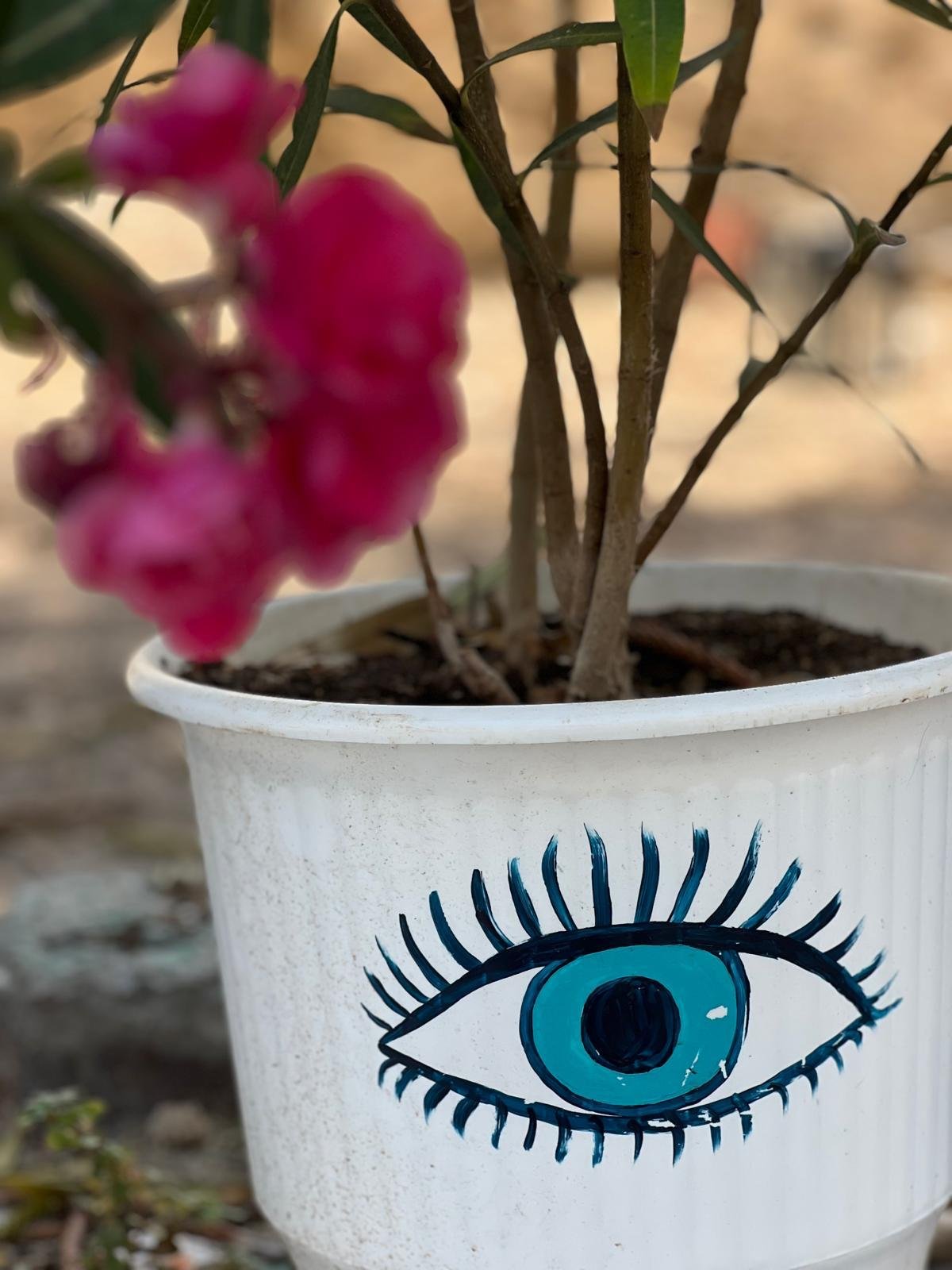 WhatsApp Image 2025-11-10 at 16.10.20(2).jpeg