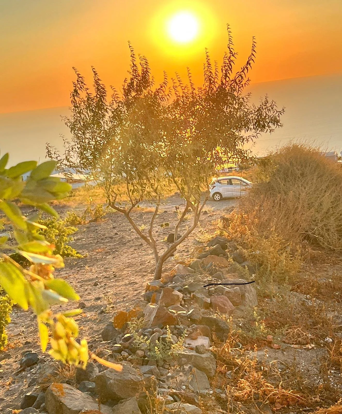 WhatsApp Image 2025-11-10 at 16.05.09(8).jpeg