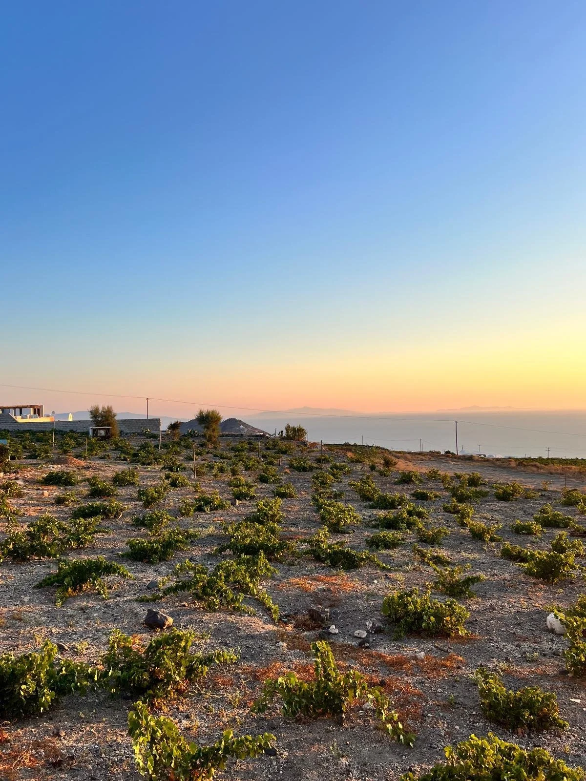 WhatsApp Image 2025-11-10 at 16.05.09(7).jpeg