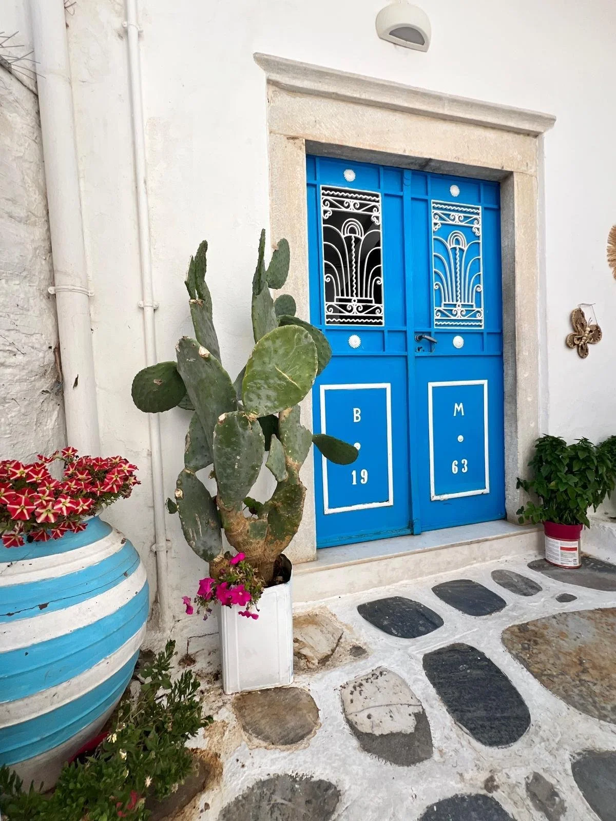 WhatsApp Image 2025-11-10 at 16.24.12(11).jpeg