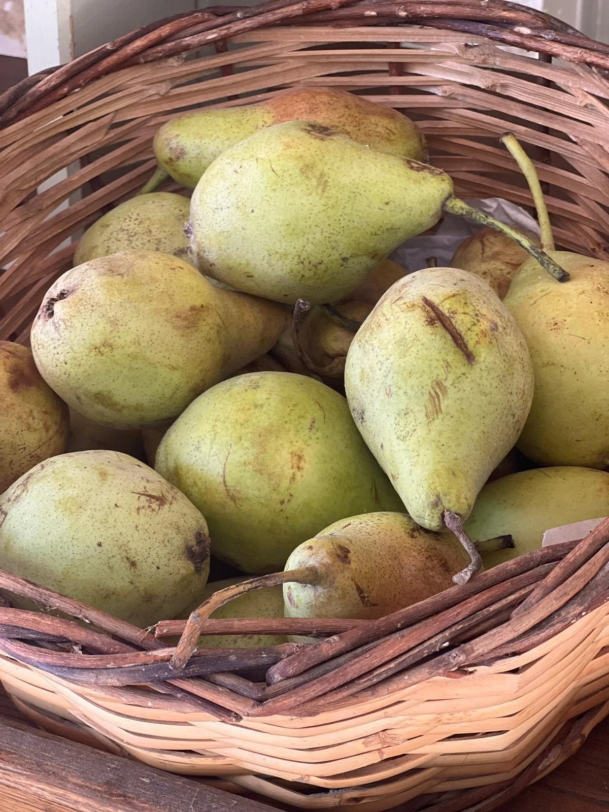 WhatsApp Image 2025-11-10 at 16.21.42(5).jpeg