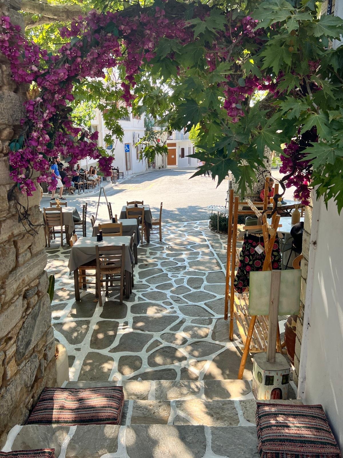 WhatsApp Image 2025-11-10 at 16.24.12(5).jpeg