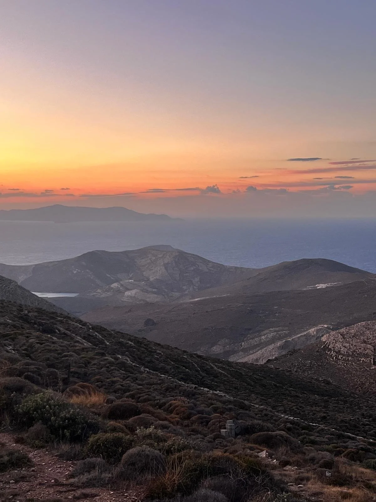 WhatsApp Image 2025-11-10 at 15.52.12(4).jpeg