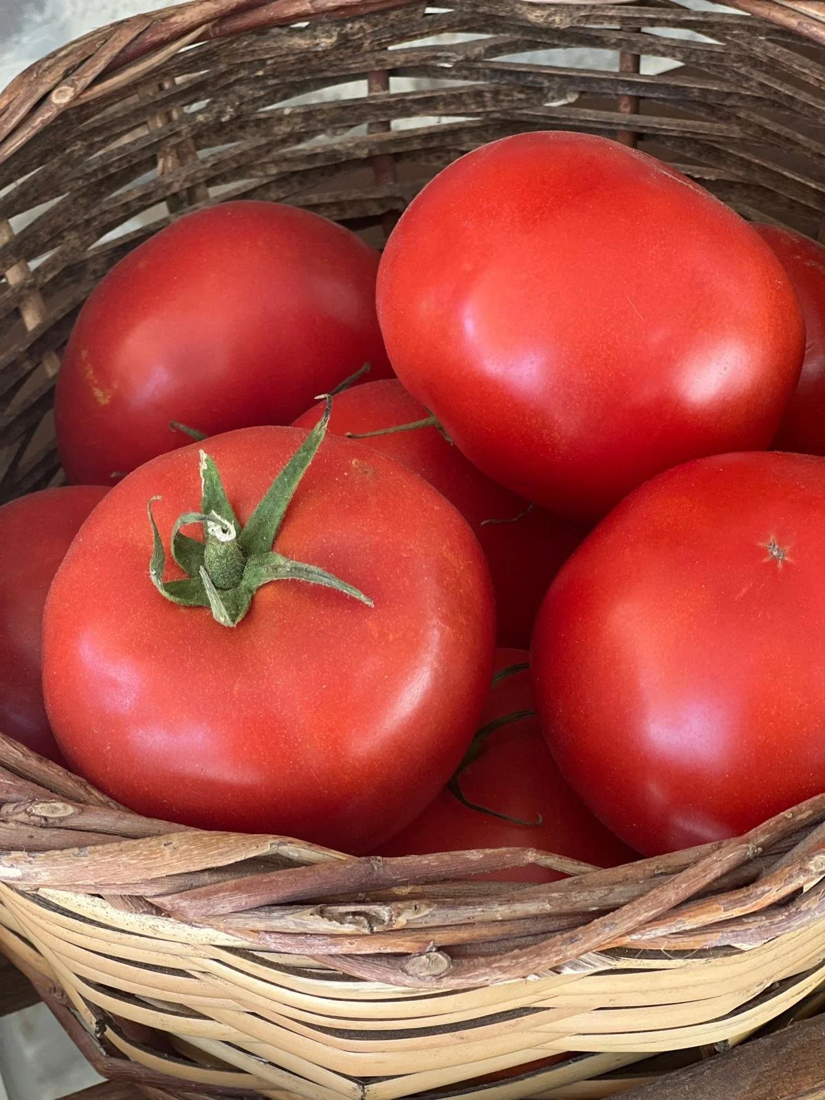 WhatsApp Image 2025-11-10 at 16.21.42(4).jpeg