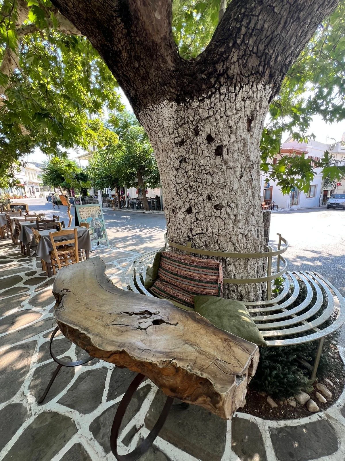 WhatsApp Image 2025-11-10 at 16.24.11.jpeg