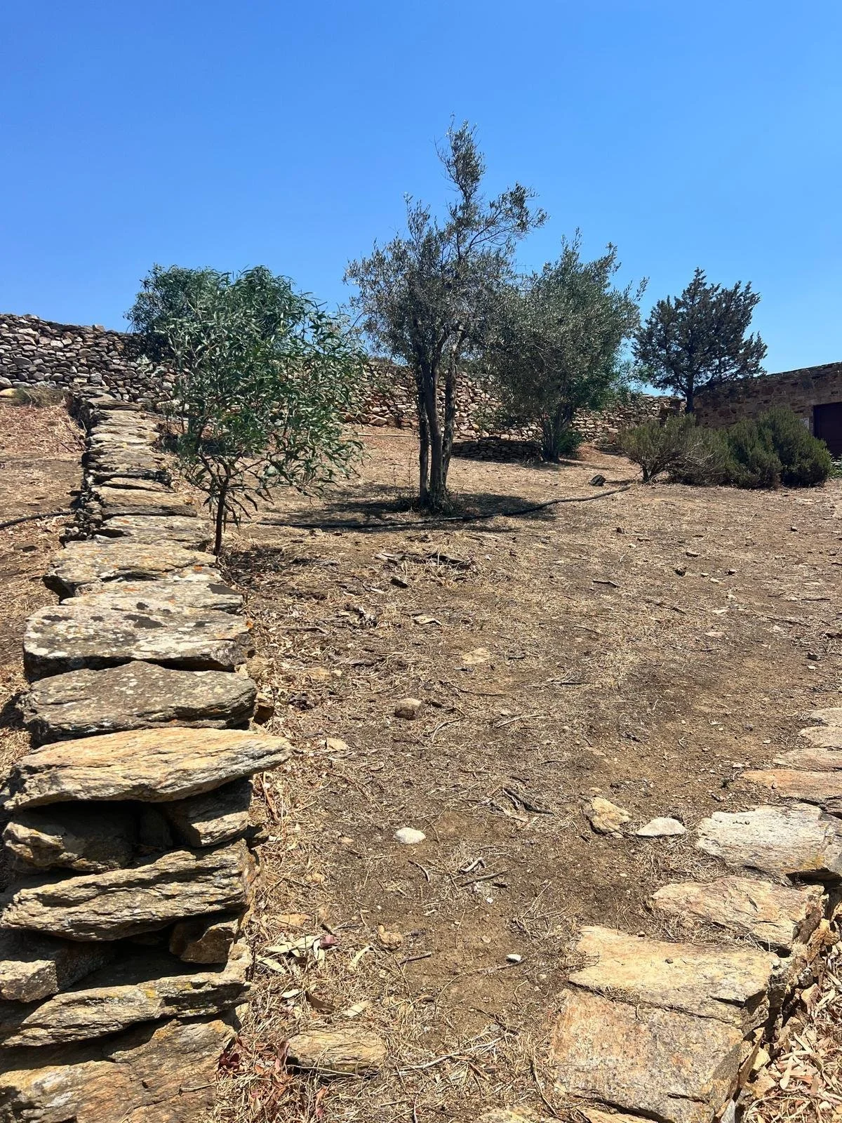 WhatsApp Image 2025-11-10 at 16.26.01(3).jpeg