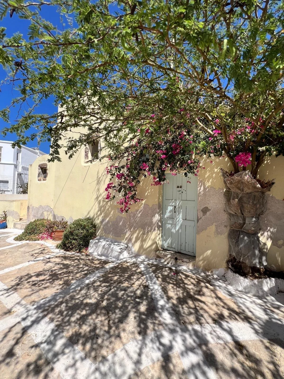 WhatsApp Image 2025-11-10 at 16.07.21(15).jpeg