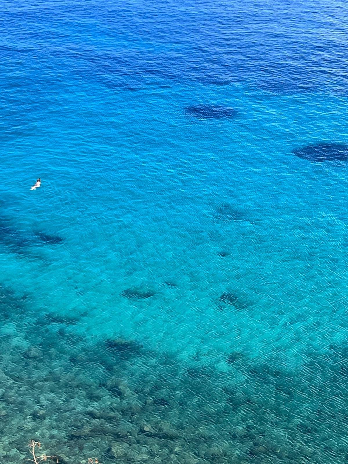 WhatsApp Image 2025-11-10 at 15.11.12(6).jpeg