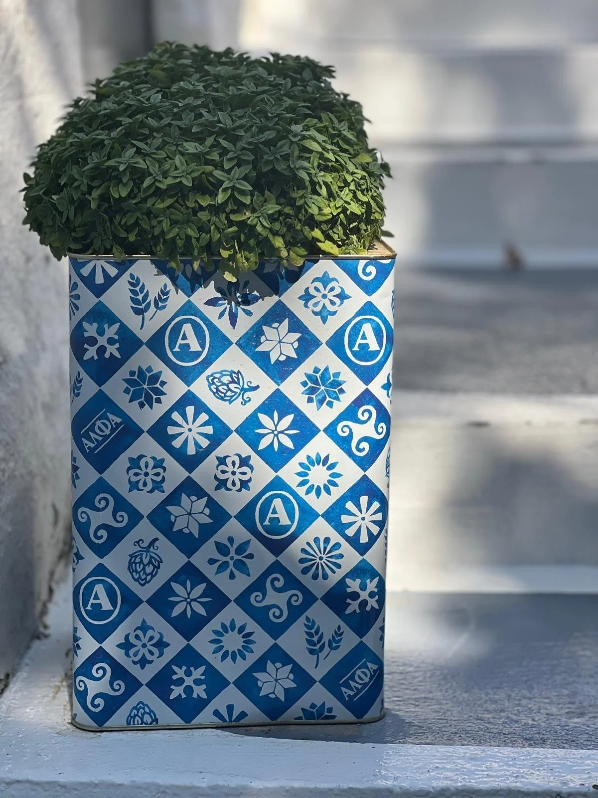 WhatsApp Image 2025-11-10 at 16.24.12(3).jpeg