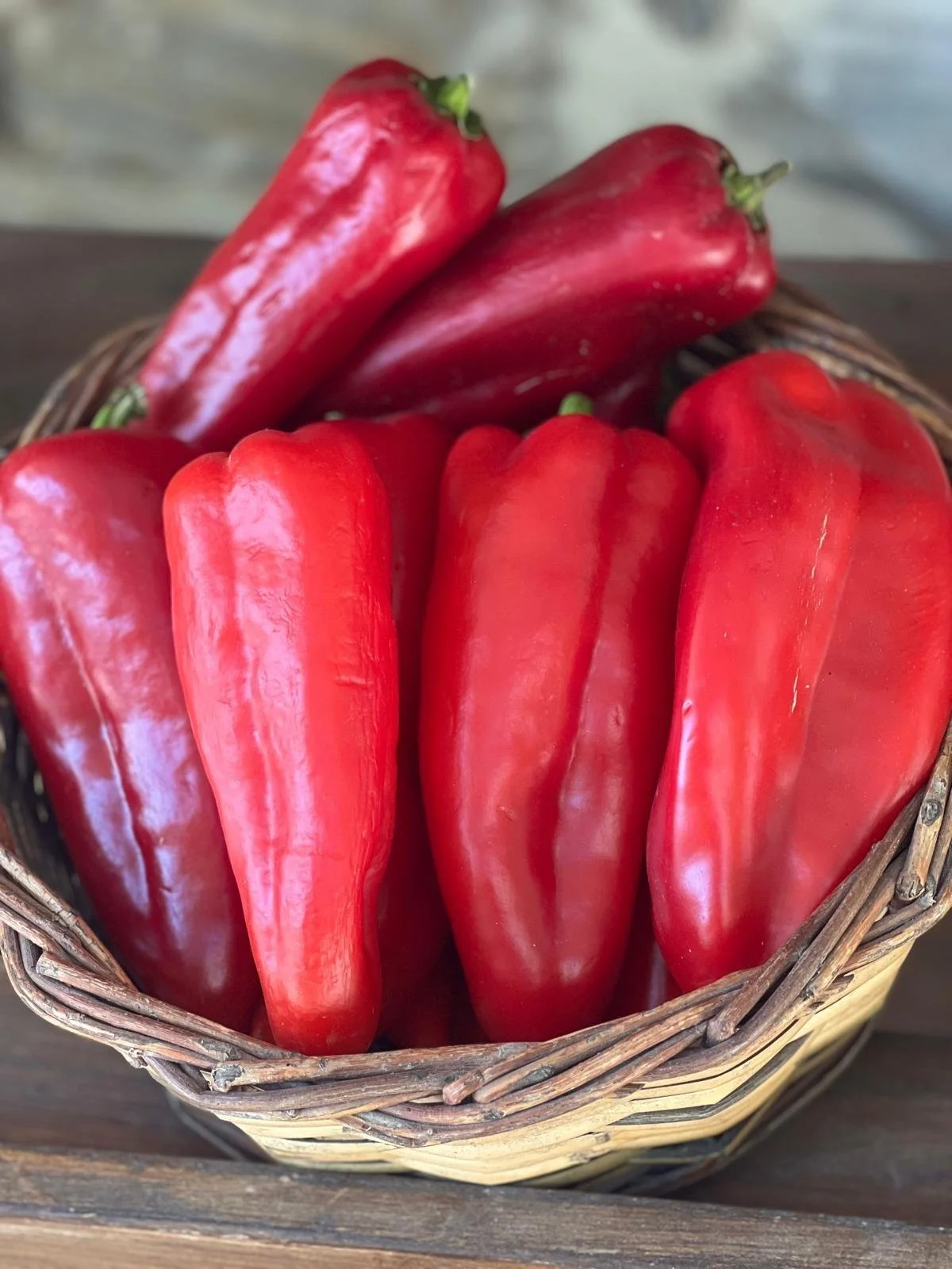 WhatsApp Image 2025-11-10 at 16.21.42(2).jpeg