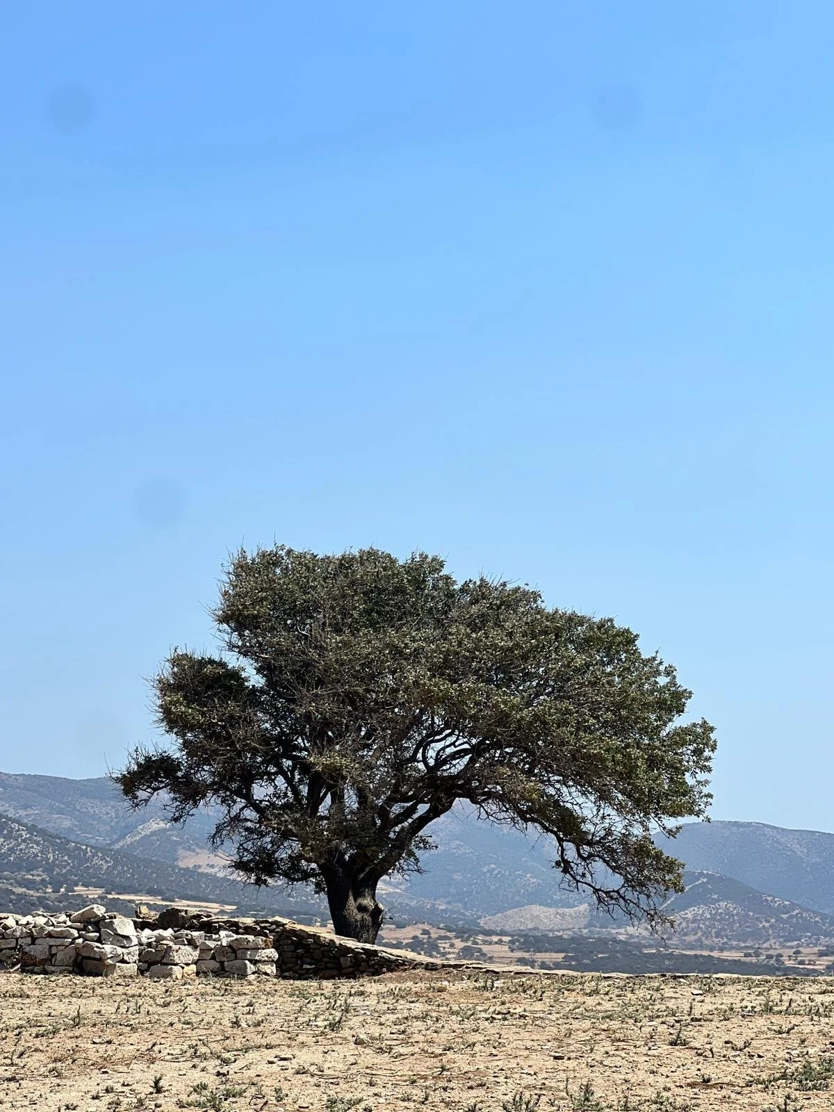 WhatsApp Image 2025-11-10 at 16.26.01(10).jpeg