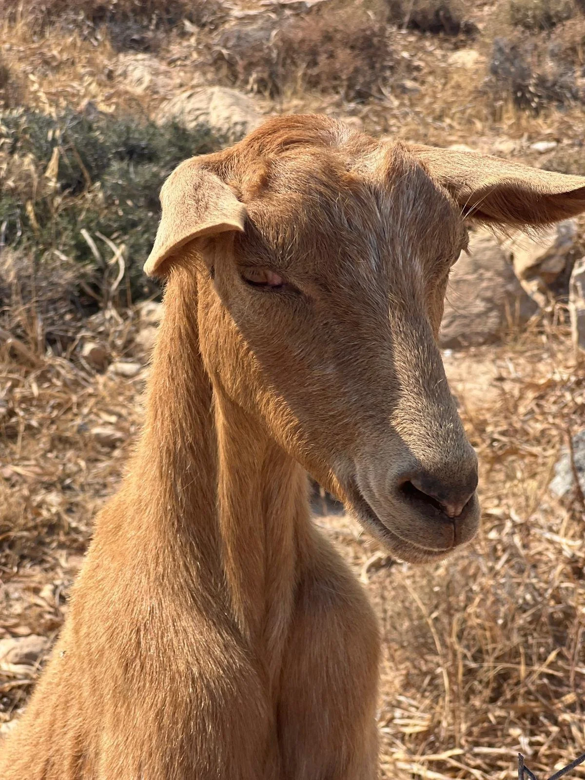 WhatsApp Image 2025-11-10 at 16.14.55(2).jpeg