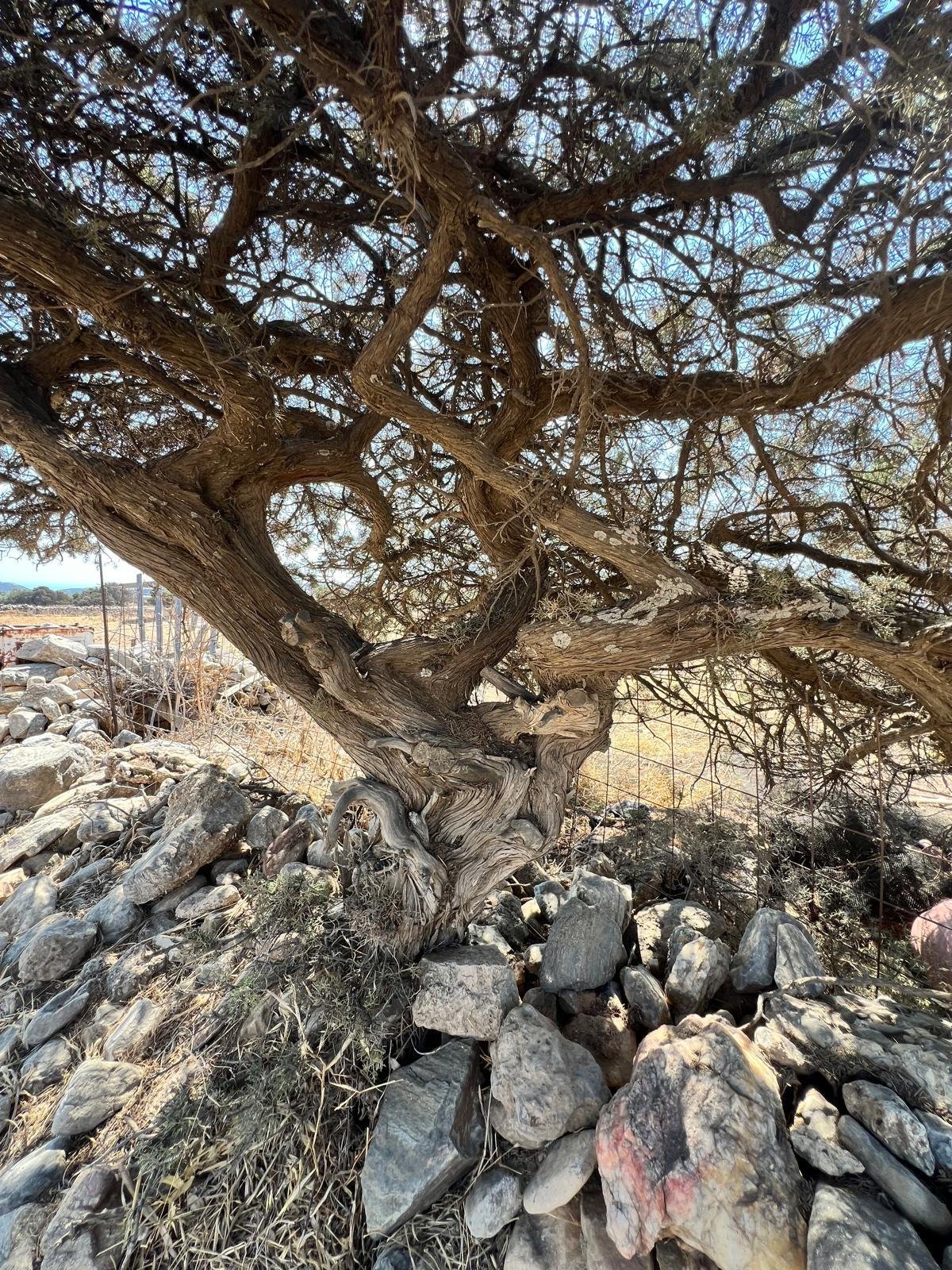 WhatsApp Image 2025-11-10 at 16.26.01(12).jpeg