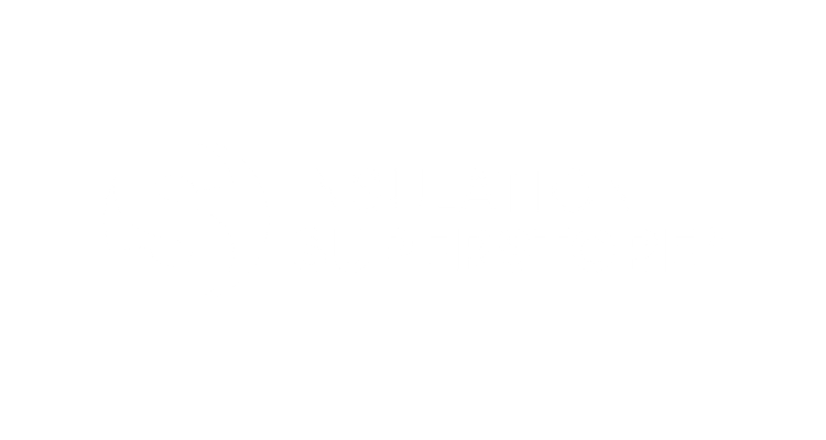 iss logo white.png