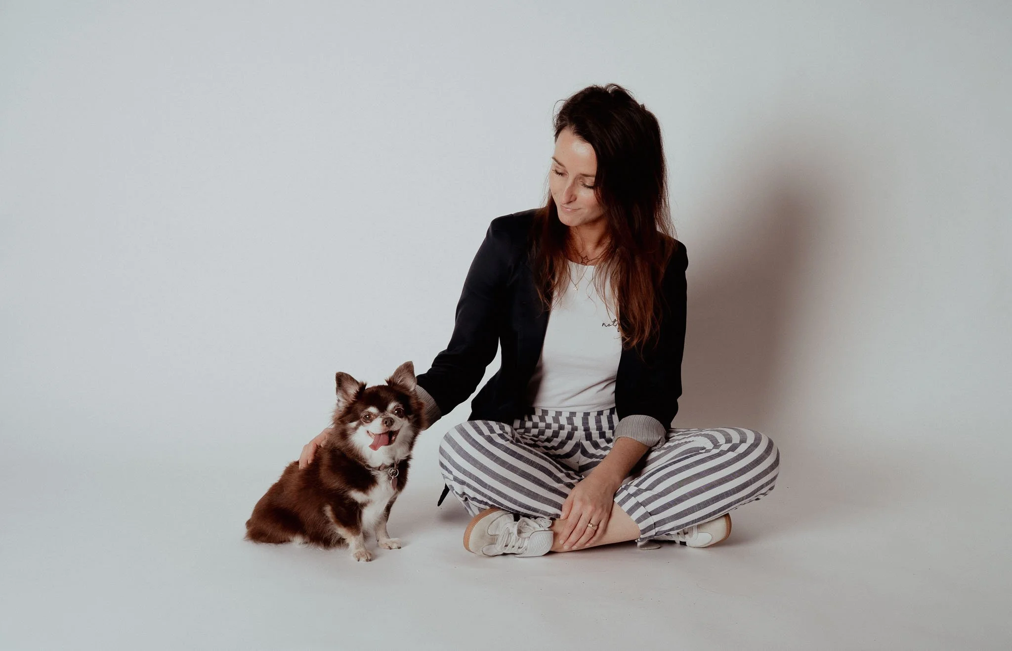 Portrait d'un chihuahua avec son maitre au studio4pattes, Awans. Studio photo pour chien