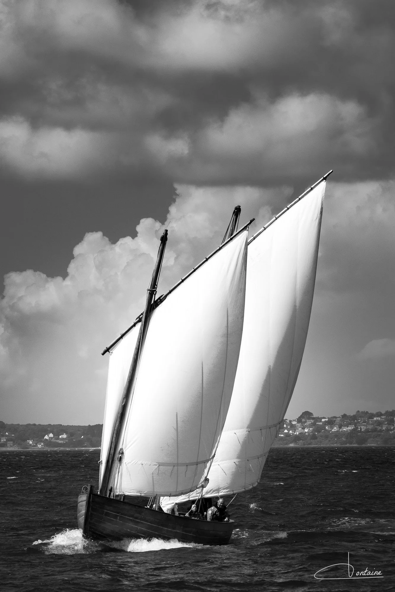 DSCF0664.jpg