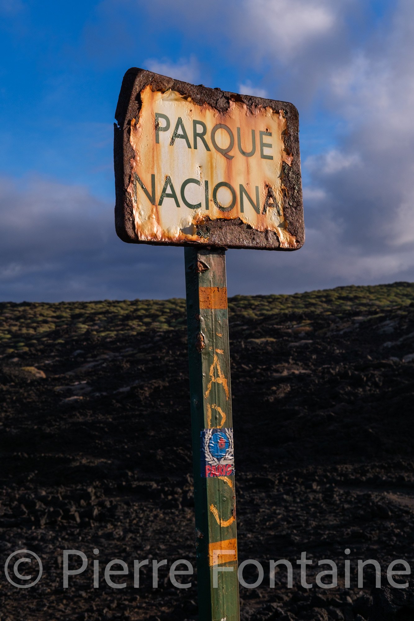 canaries-17
auteur: Pierre Fontaine