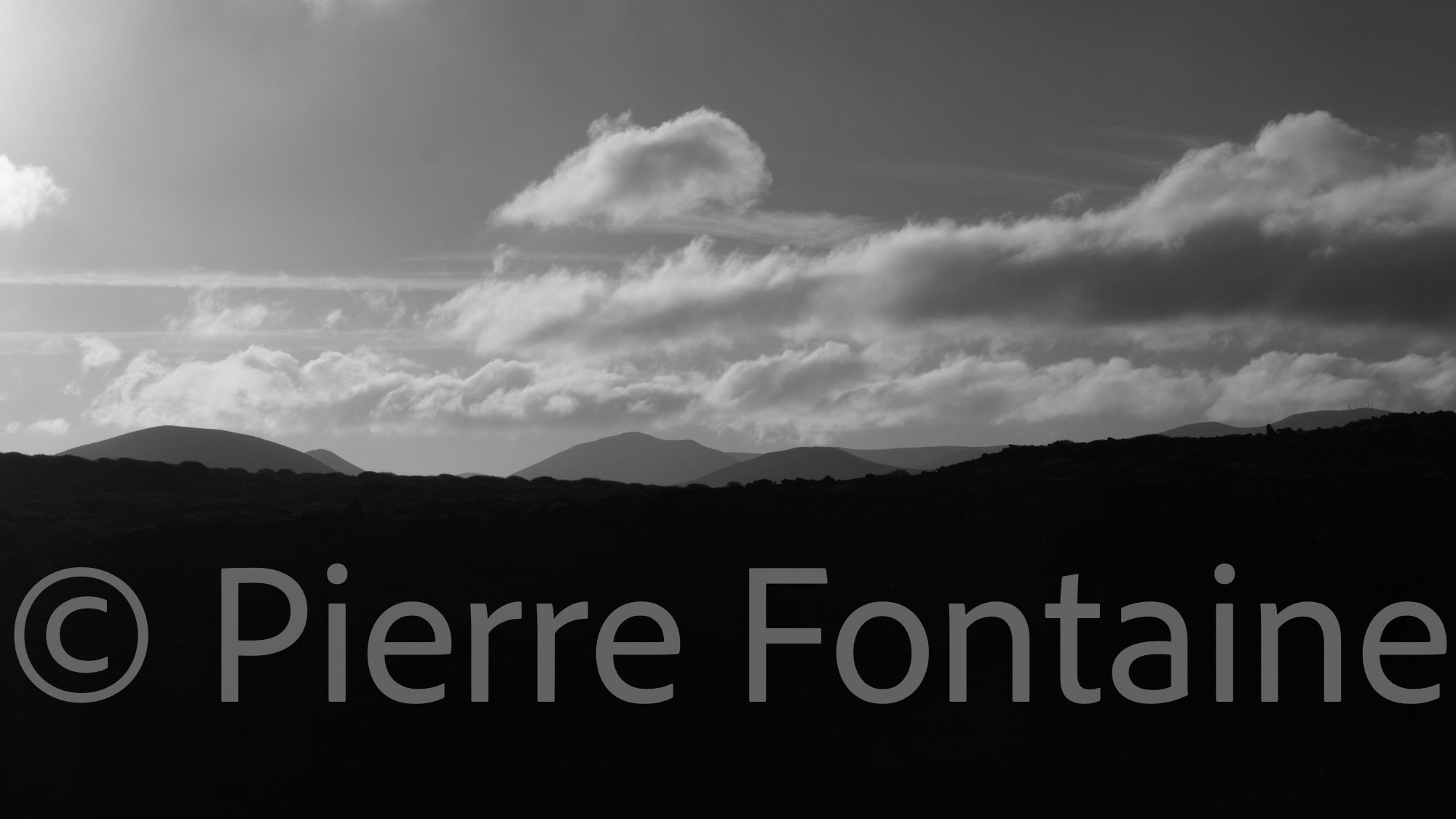 canaries-16
auteur: Pierre Fontaine