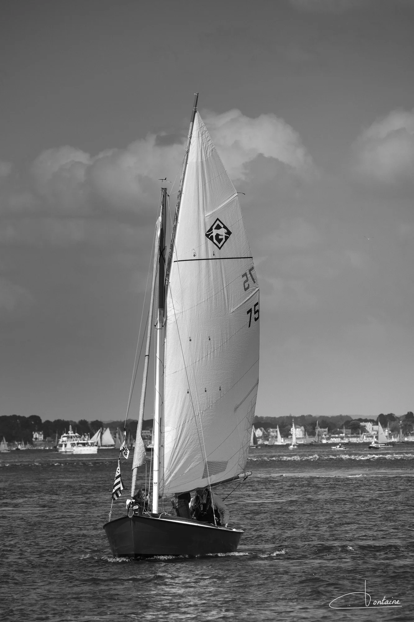 DSCF3429.jpg