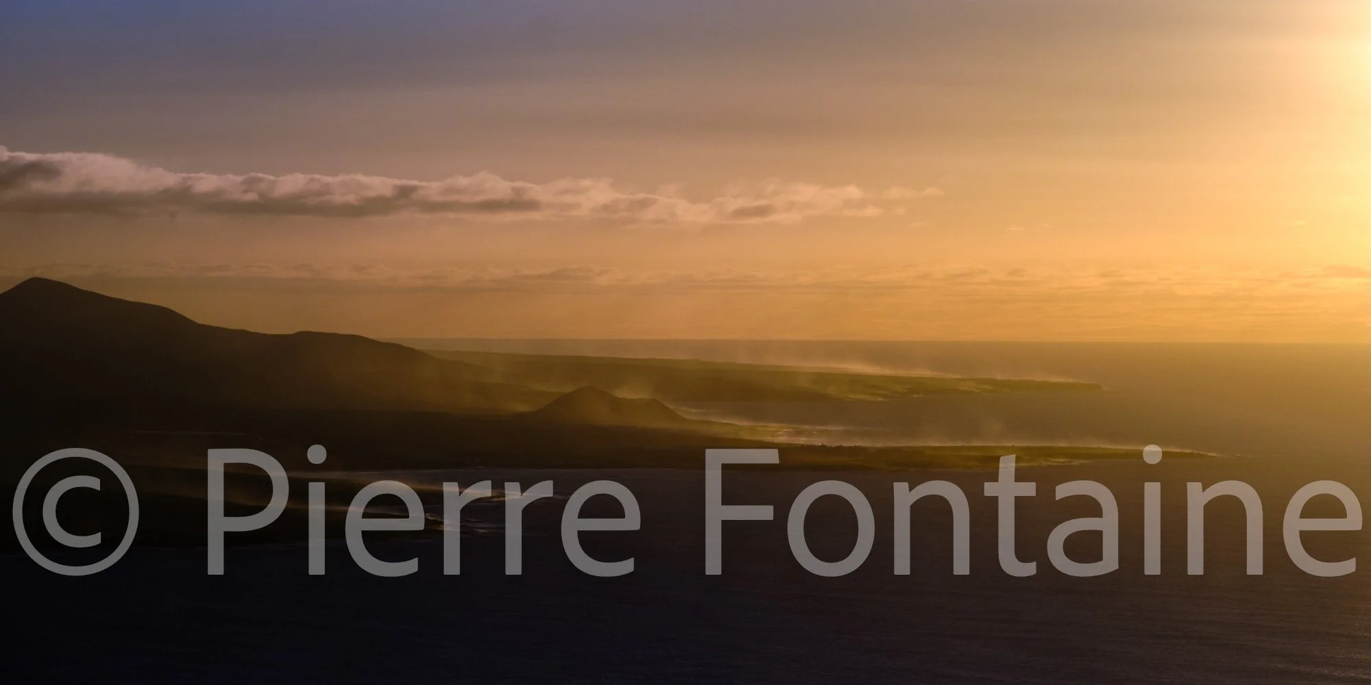 canaries-6
auteur: Pierre Fontaine