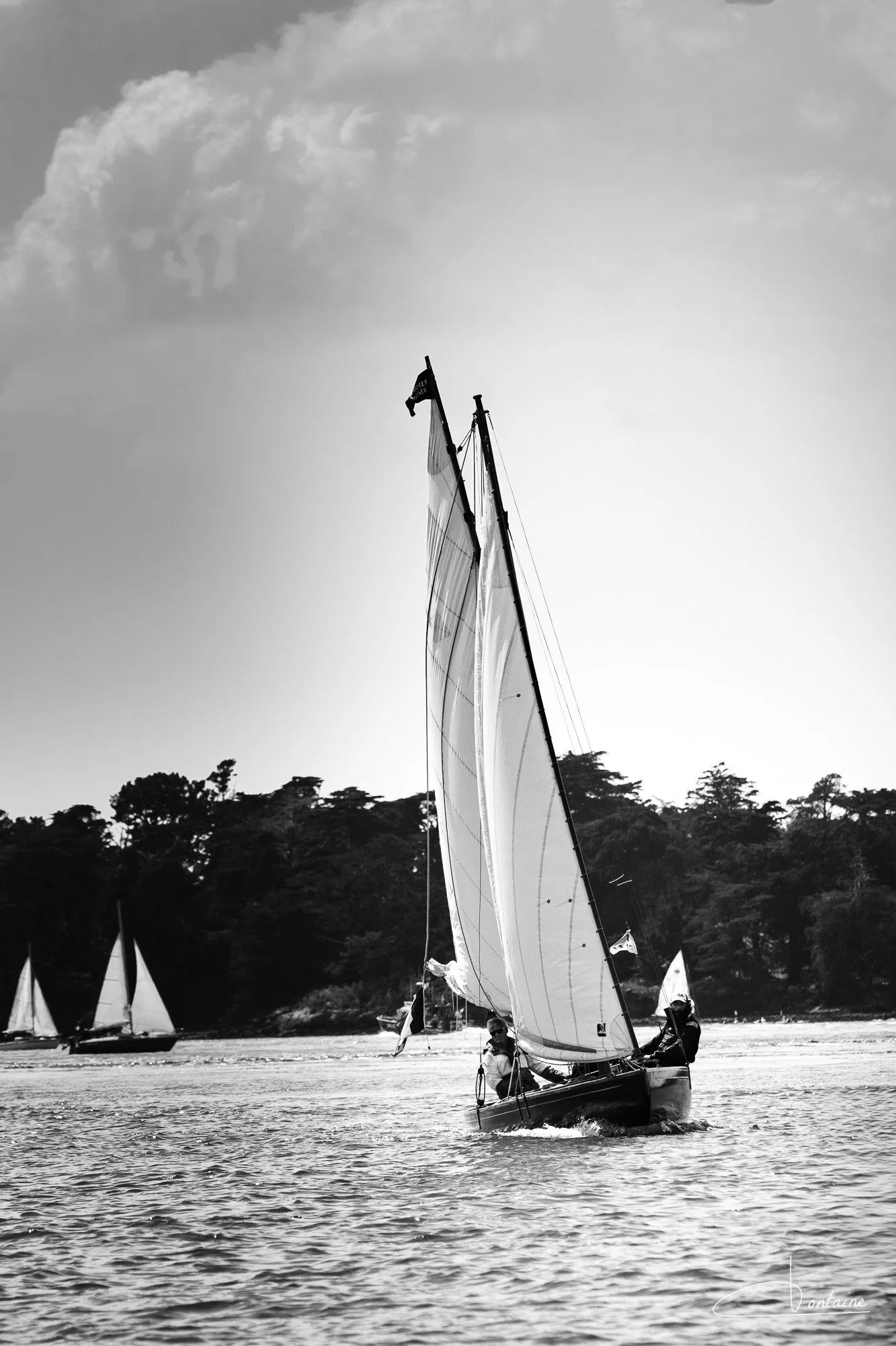 DSCF3347.jpg