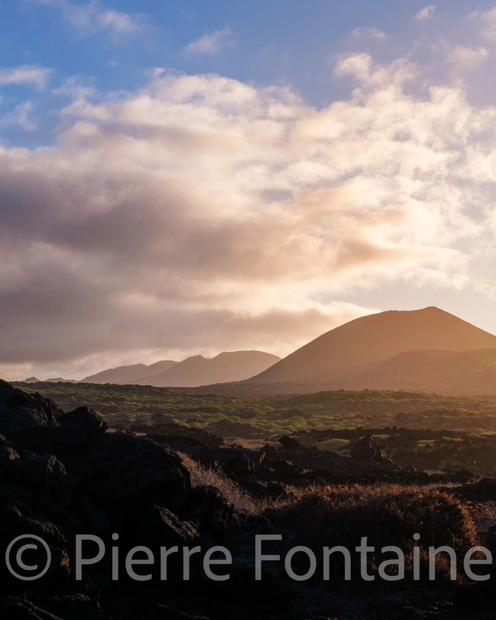canaries-9
auteur: Pierre Fontaine