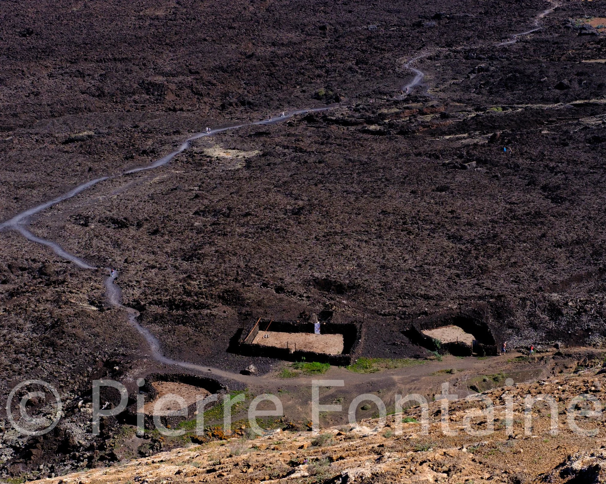 canaries-7
auteur: Pierre Fontaine