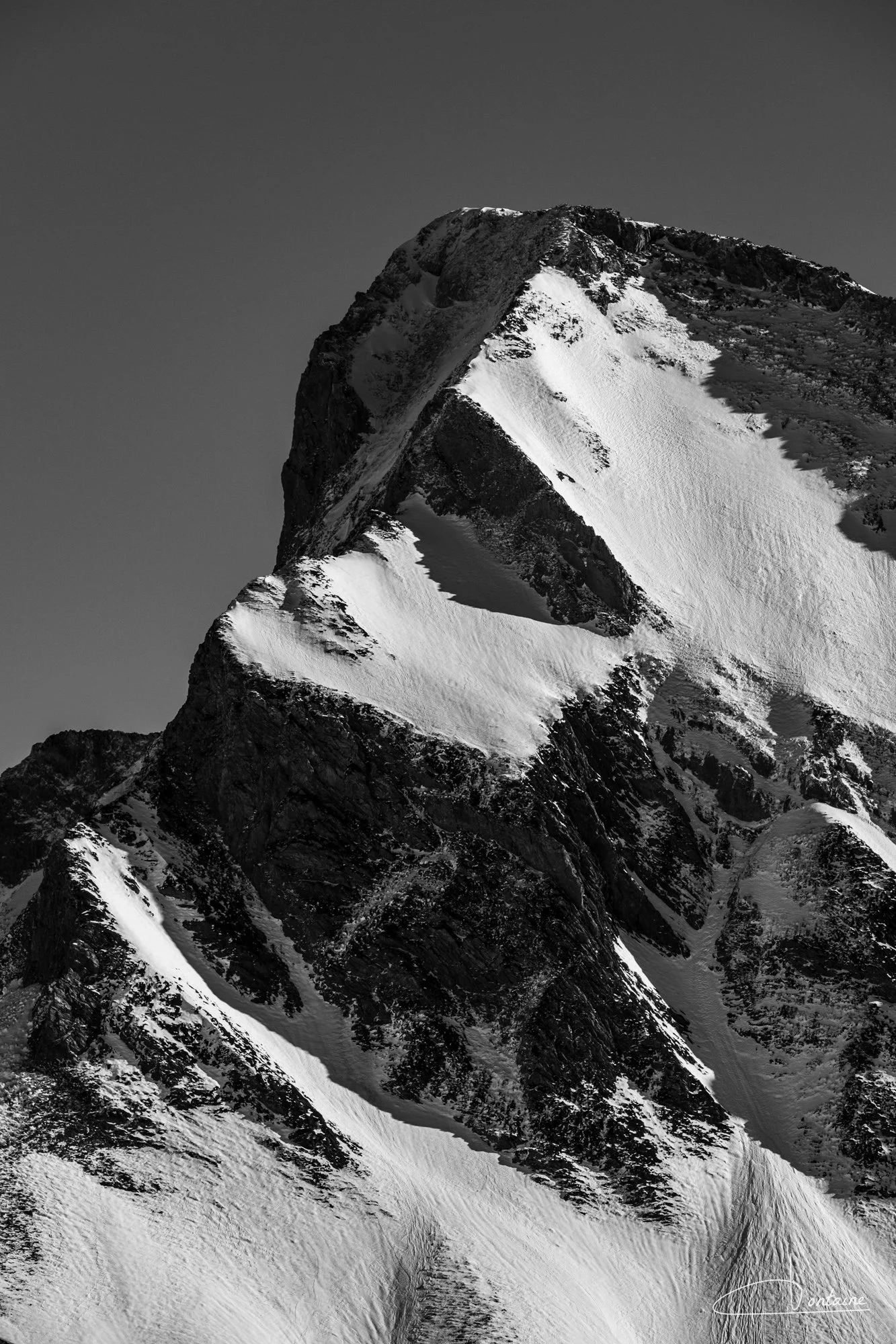 DSCF6856.jpg