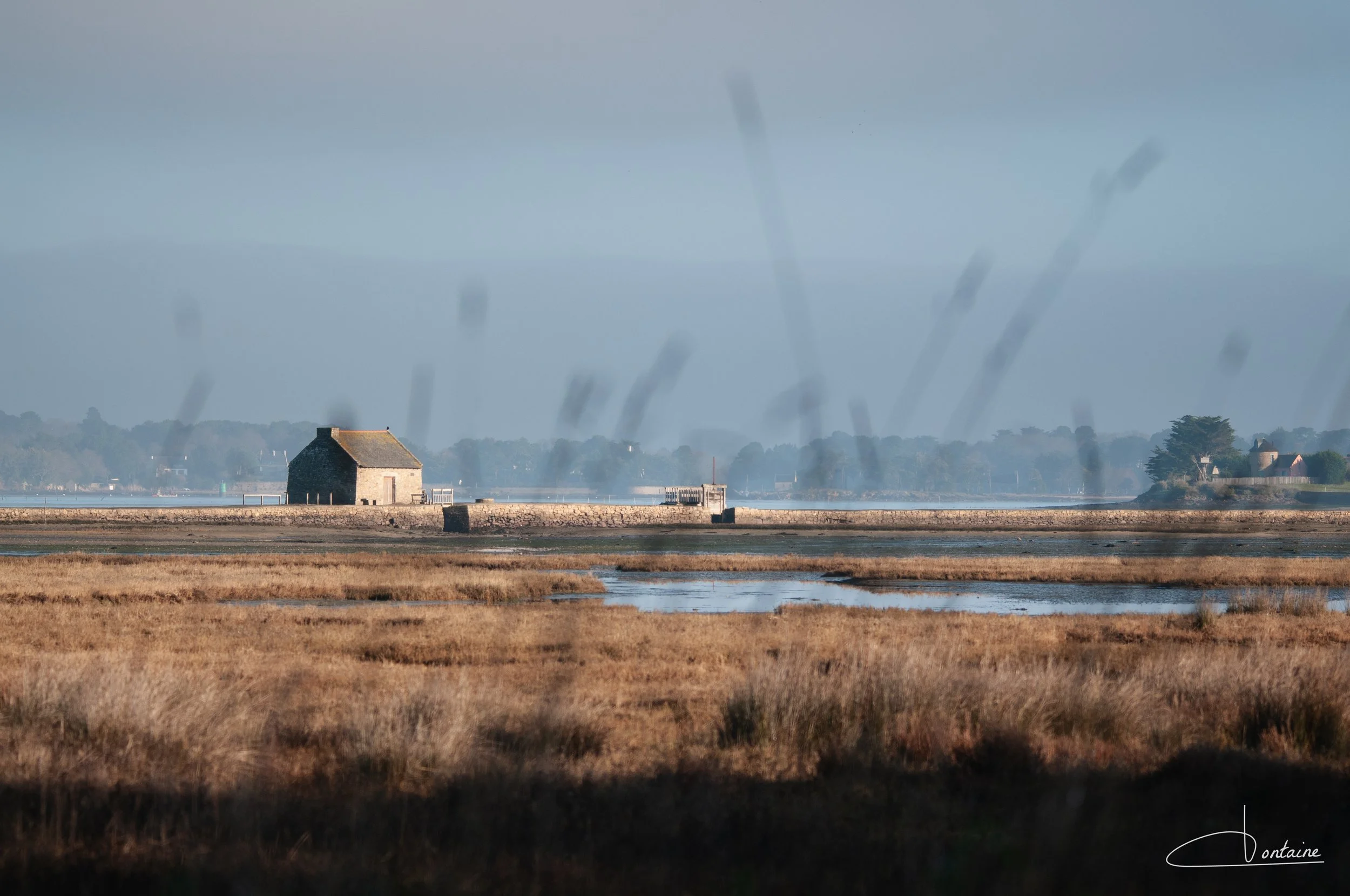 Immersion "Ile d'Arz" - 7 Mars