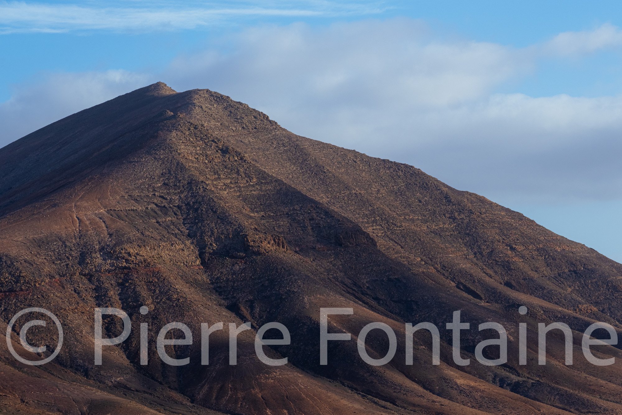 canaries-21
auteur: Pierre Fontaine